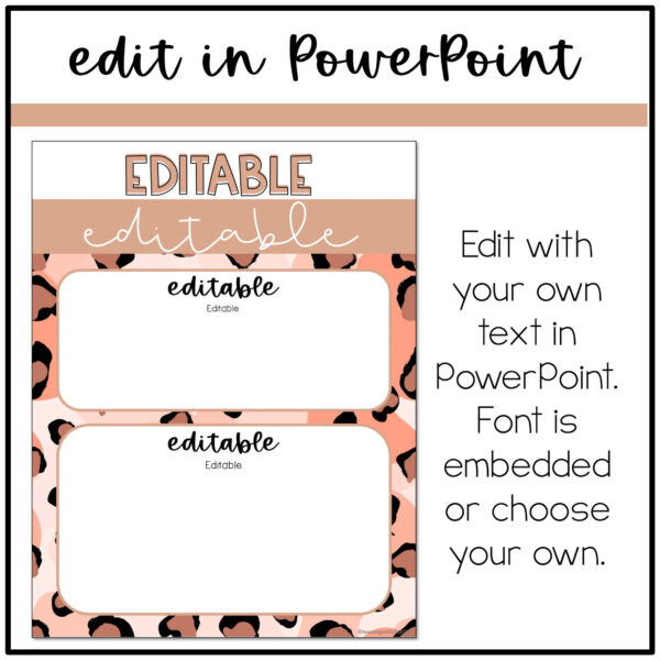 Modern Leopard Classroom Newsletter Modern Leopard Classroom Newsletter
